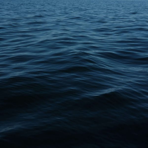conor-sexton-hRemch0ZDwI-unsplash (1) conor-sexton-hRemch0ZDwI-unsplash (1)